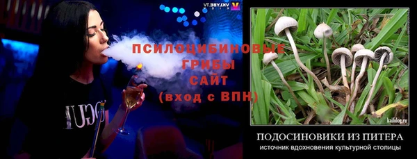 a pvp Алзамай