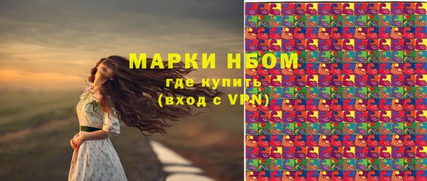 a pvp Алзамай