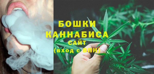 сатива Алексин