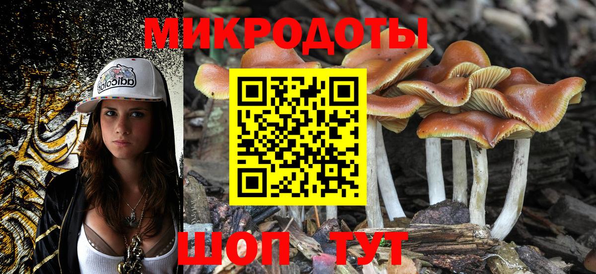 Ковров  Псилоцибиновые грибы Psilocybine cubensis  Вход с VPN  Псилоцибиновые грибы Psilocybine cubensis 