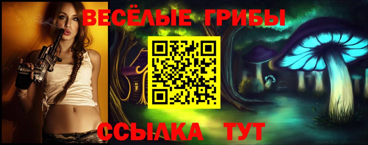 Галлюциногенные грибы прущие грибы Ковров